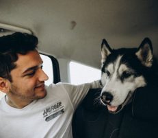 Traveling With Your Pet? Must-Have Checklist for a Smooth Trip